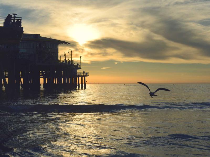 剧本杀DM<br>axbyeqm.cn 上帝视角旁白